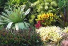 Silverton NSWplanting-garden-and-landscape-design-24.jpg; ?>